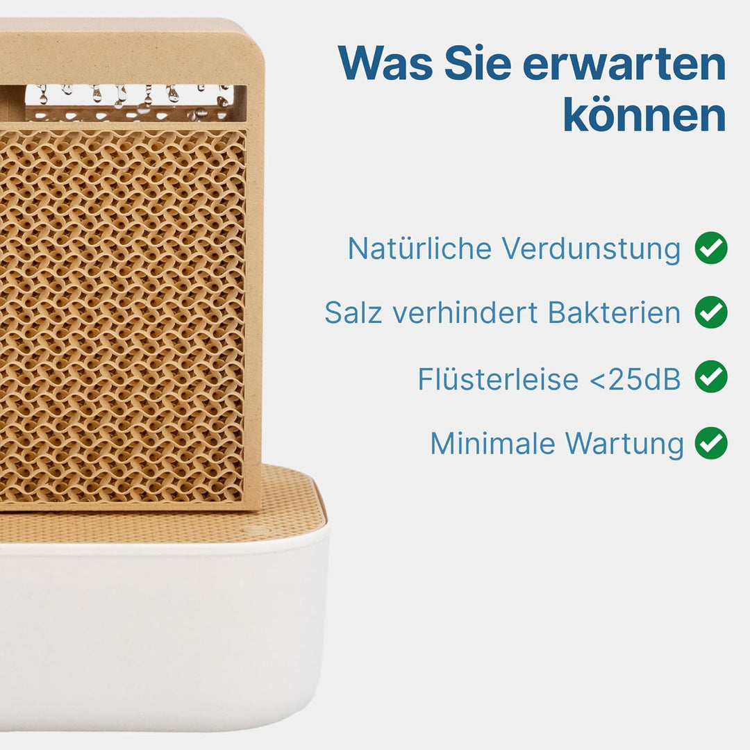 Salino Mini-Saline Vita – Stylischer Salzluft-Befeuchter für Zuhause, gesundes Raumklima, natürliche