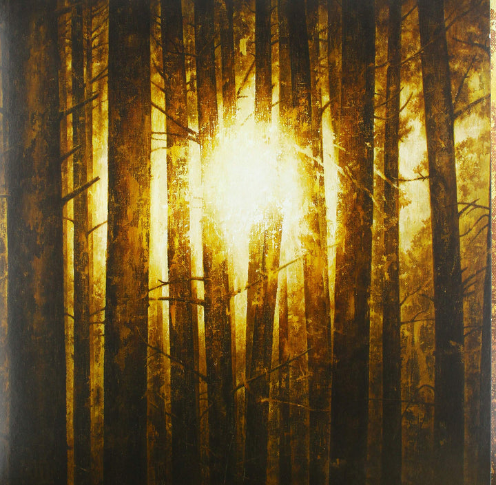 Echoes (Lim.3 Box, Vinyl