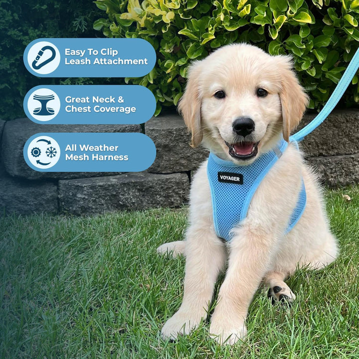 Best Pet Supplies Voyager Step-in Air Allwetter-Mesh-Geschirr und reflektierende Hundeleine, Kombina