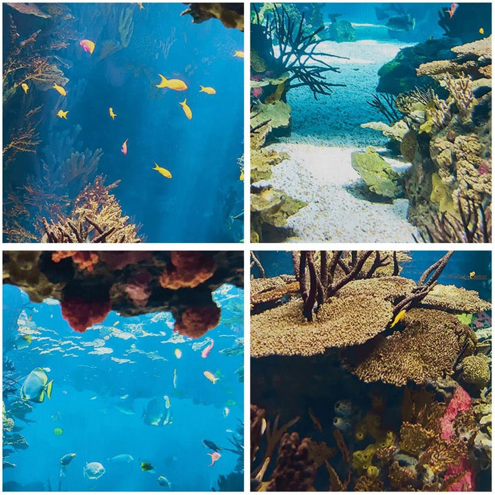 Bilder auf Leinwand Ozean Riff Fische Koralle Leinwandbild 70x50cm Wandbilder Dekoration Wohnzimmer