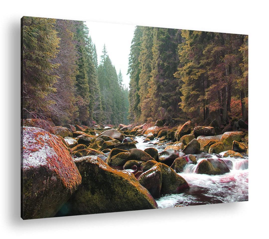 deyoli idyllischer Fluss im Wald im Format: 80x60 als Leinwandbild, Motiv fertig gerahmt auf Echthol