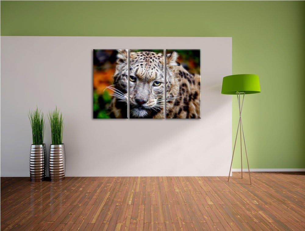 eleganter Schneeleopard Spezial 3-Teiler Leinwandbild 120x80 Bild auf Leinwand, XXL riesige Bilder f
