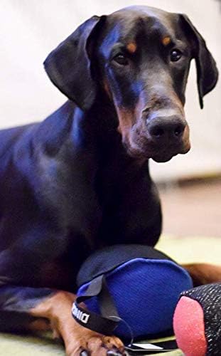 Dingo Gear Trainings-Spielzeug Nylcott French Material Training Spiel Apport IGP K9 Obedience Apport