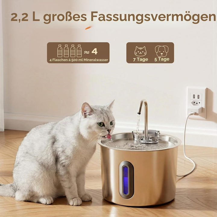 Zivacate Katzenbrunnen - 2,2L Trinkbrunnen für Katze, Automatischer Haustierbrunnen mit Extrem Leise