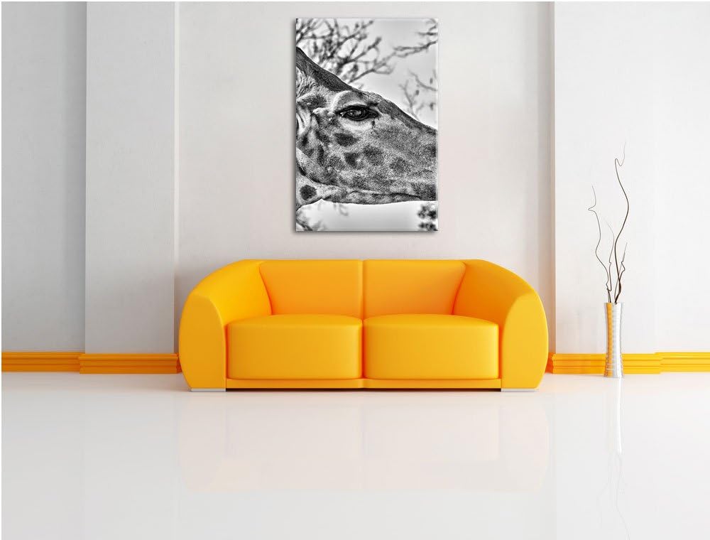 Pixxprint anmutige Giraffe isst als Leinwandbild/Grösse: 100x70 / Wandbild/Kunstdruck/fertig bespann