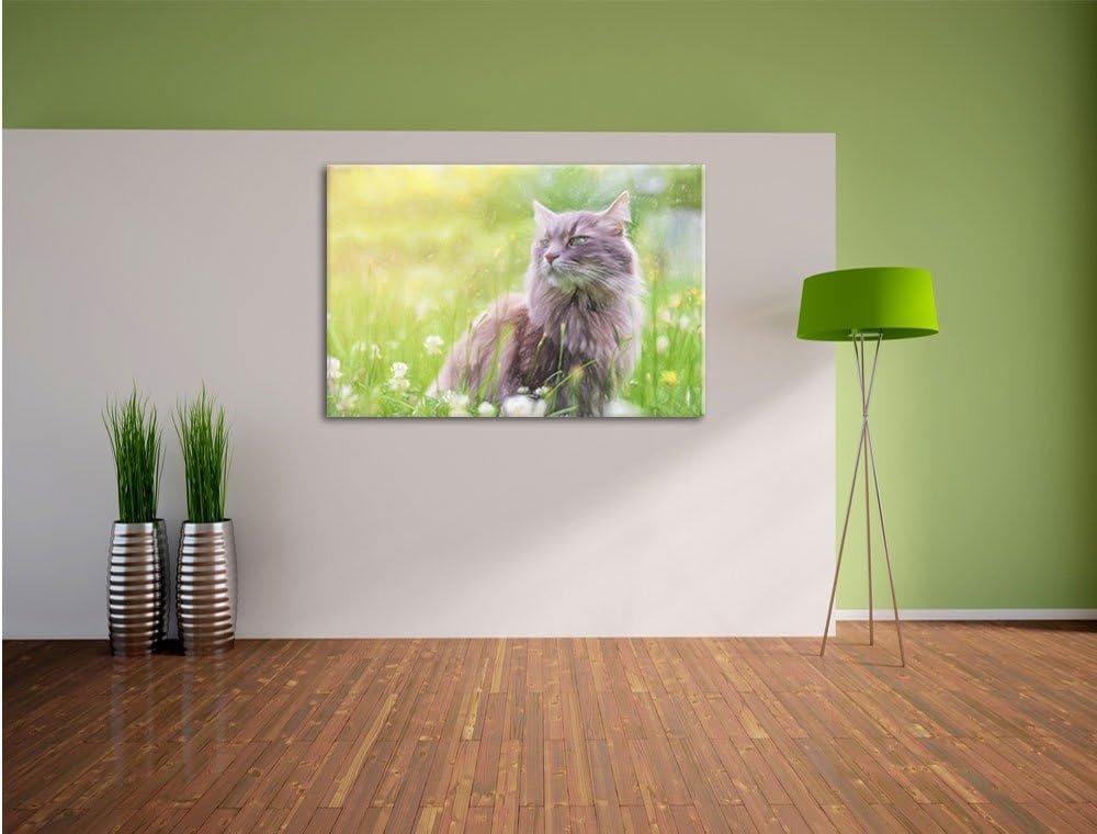 Pixxprint Katze in der Wildnis / 100x70cm Leinwandbild bespannt auf Holzrahmen/Wandbild Kunstdruck D
