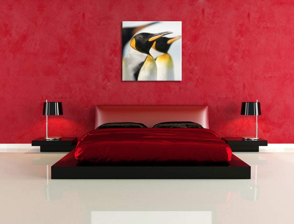 Pinguine, Format: 70x70 auf Leinwand, XXL riesige Bilder fertig gerahmt mit Keilrahmen, Kunstdruck a