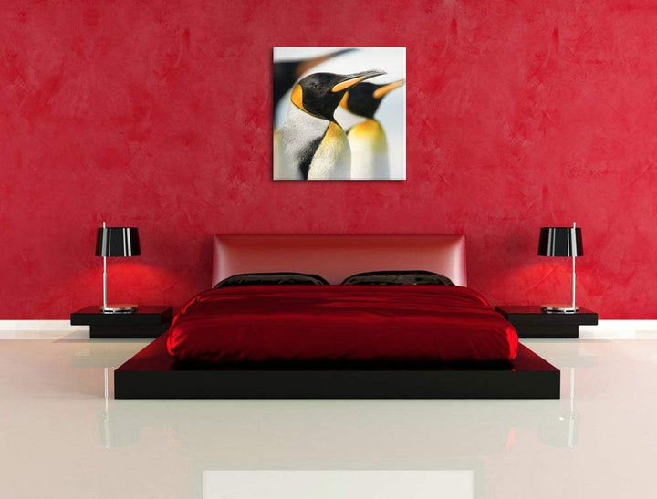 Pinguine, Format: 70x70 auf Leinwand, XXL riesige Bilder fertig gerahmt mit Keilrahmen, Kunstdruck a
