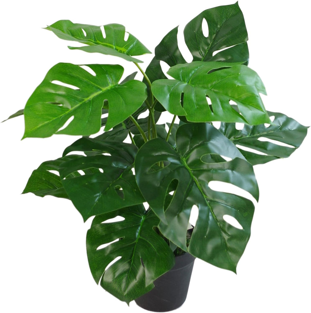 Leaf Künstliche Pflanze mit Blättern, Schwarz, 80 cm Monstera, 80cm LEAF-7151 80cm Monstera 80 Cm Mo