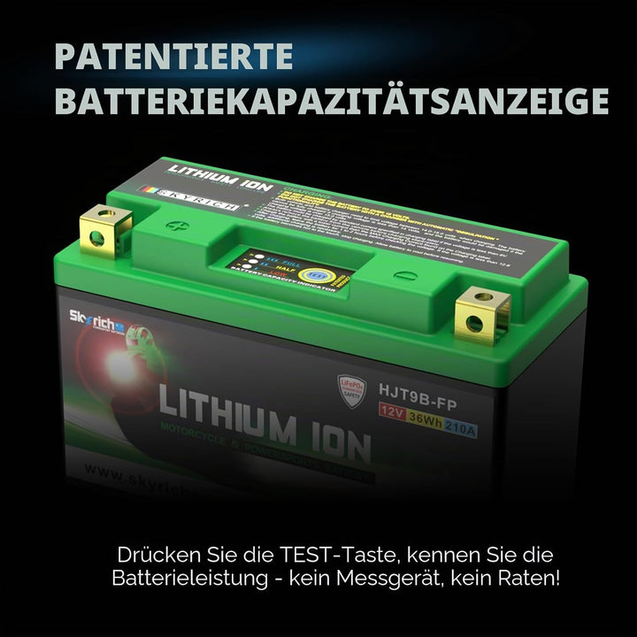Skyrich HJT9B-FP Starterbatterie