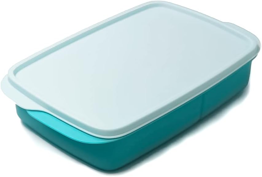 Tupperware to Go Lunchbox 1 L helltürkis mit Trennwand Clevere Pause Schule