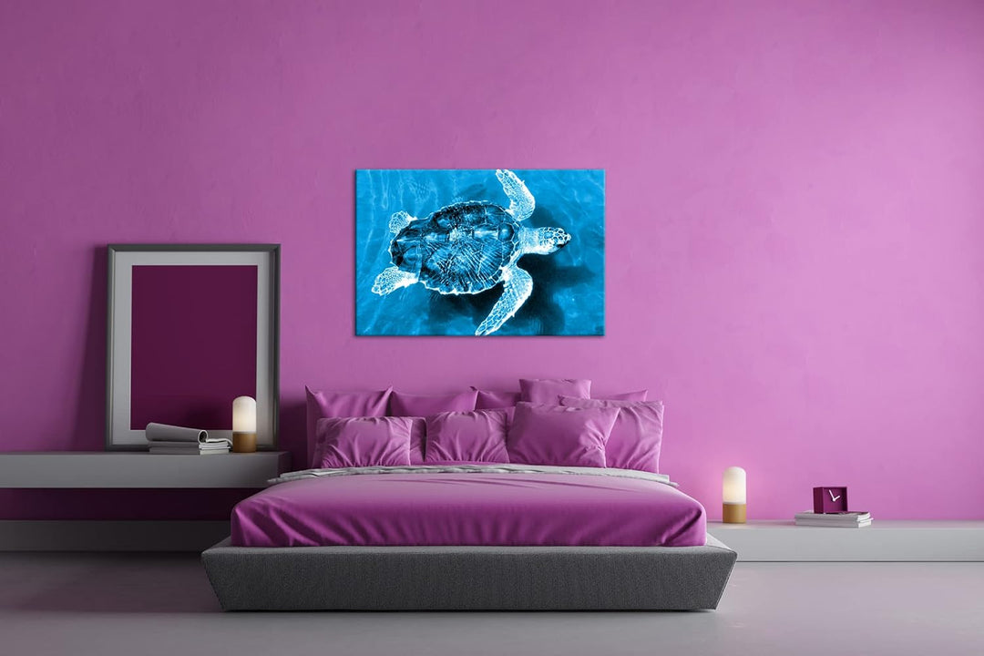 deyoli liebenswerte Schildkröte Format 80x60 Effekt: Monocrome Blau als Leinwandbild, Motiv fertig g