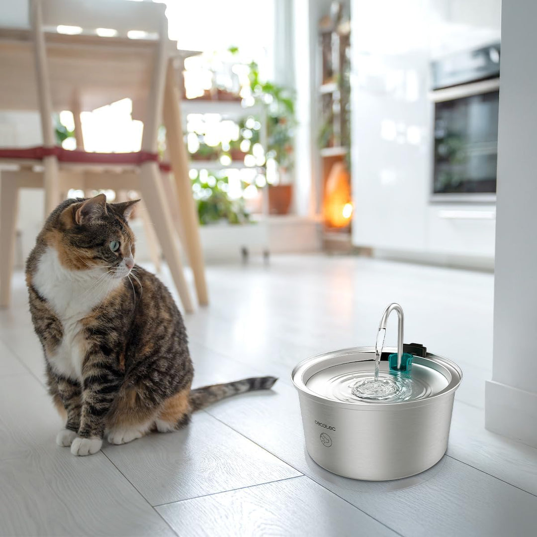 Cecotec Pumba 3200 Refresh INOX Automatischer Katzenbrunnen für Katzen, Haustiere, Fassungsvermögen