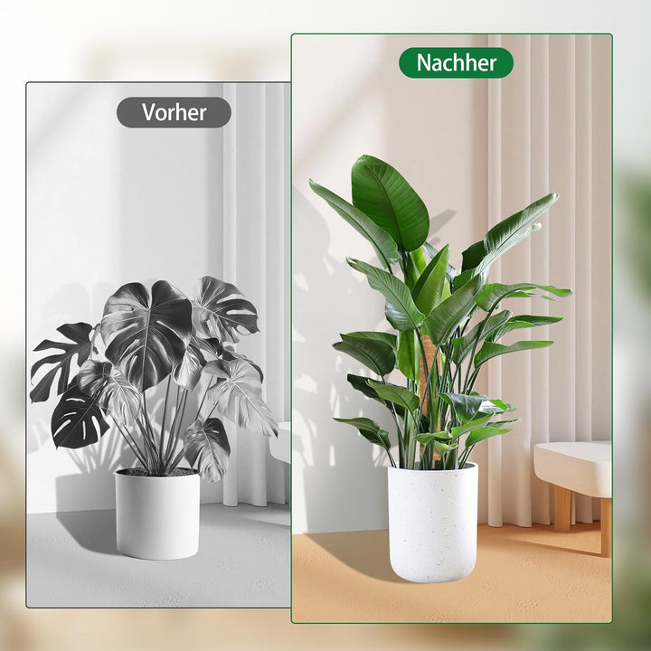 4 Stück Moosstab für Monstera, 40cm Monstera Rankhilfe mit Pflanzen Zubehör, VerläNgerbar Up To160cm