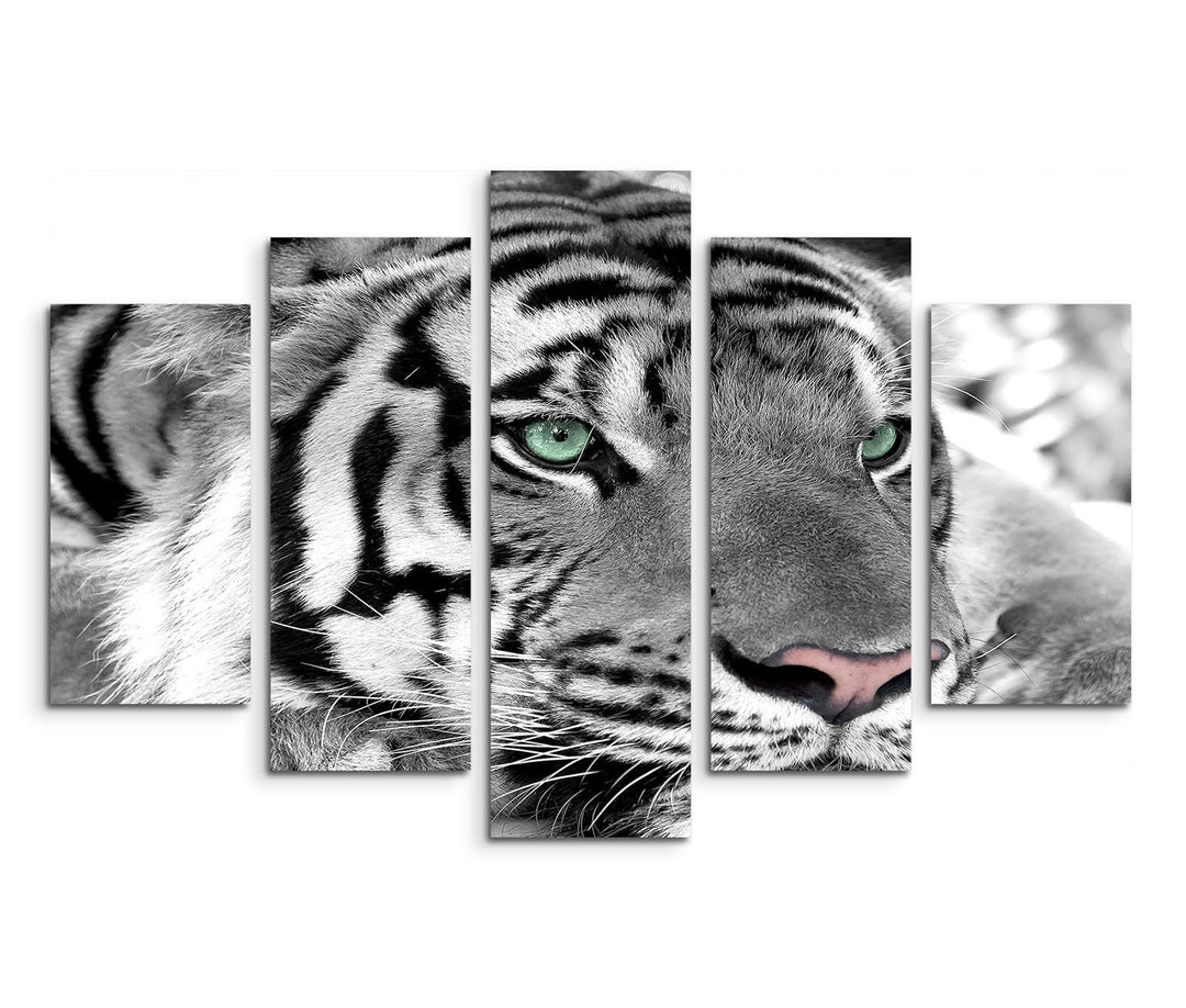 Sinus Art Leinwandbild 150x100cm Künstlerische Fotografie – Weisser Tiger mit grünen Augen 5 teilig
