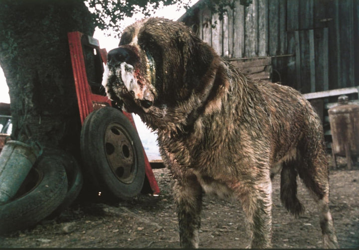 Cujo [Blu-Ray] [Region Free] (IMPORT) (Keine deutsche Version), Blu-ray