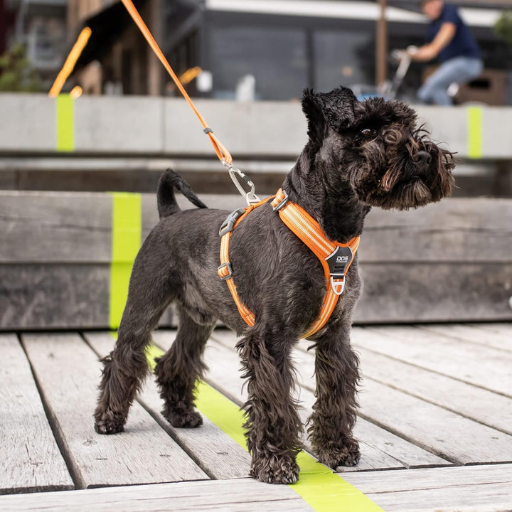 DOG Copenhagen Hundegeschirr V2 Walk Harness (Air) Purple Passion Grösse XL XL Purple Passion | Lila