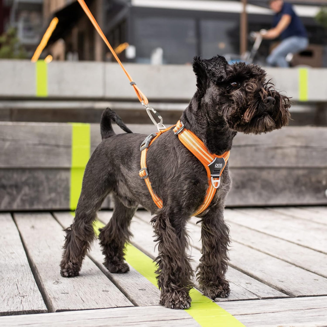 DOG Copenhagen Comfort Walk Air Harness Classic Red WH-CR Grösse XL XL Classic Red | Rot (Version 20