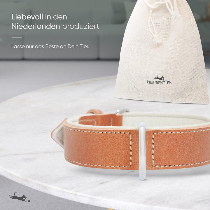 FREUDENTIER® Hundehalsband aus Leder, Made in Holland, gefüttert & super komfortabel, hochwertiges b