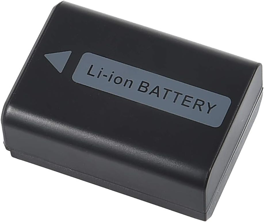DSTE 2-Stücke Batterie Akku und 2-Kanäle Dual USB Quick Ladegerät Kit für Sony NP-FW50 DSC-RX10M3 DS