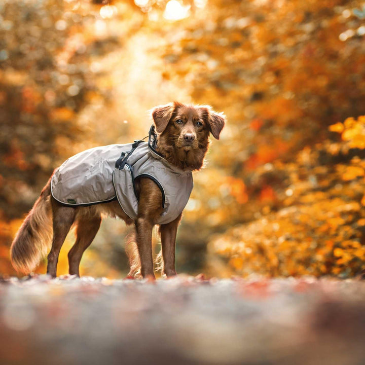 HUNTER UPPSALA Hundemantel, wasserabweisend, reflektierend, 35, taupe taupe 35, taupe 35