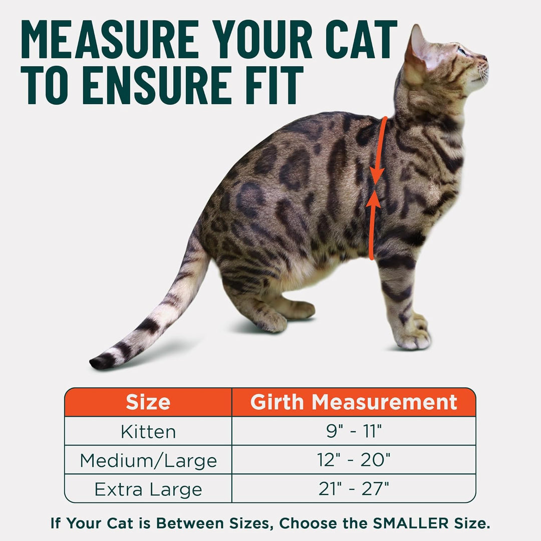 OutdoorBengal Katzengeschirr und Leine, gross, ausbruchsicher, erstickungsfrei, leicht, einfach anzu