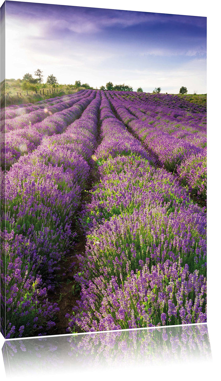 Lavendelfeld Provence, Format: 100x70 auf Leinwand, XXL riesige Bilder fertig gerahmt mit Keilrahmen