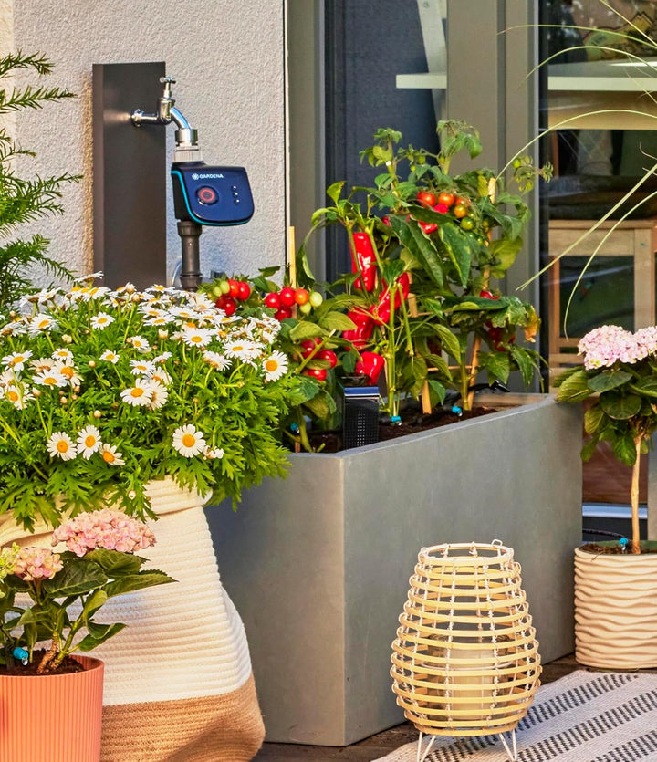 Gardena Micro-Drip-System Tropfbewässerung Set Terrasse (30 Pflanzen): Starter-Set sofort einsatzber