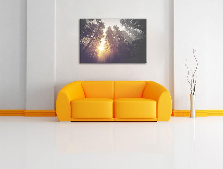 Pixxprint Blick in die Baumwipfel als Leinwandbild/Grösse: 100x70 / Wandbild/Kunstdruck/fertig bespa