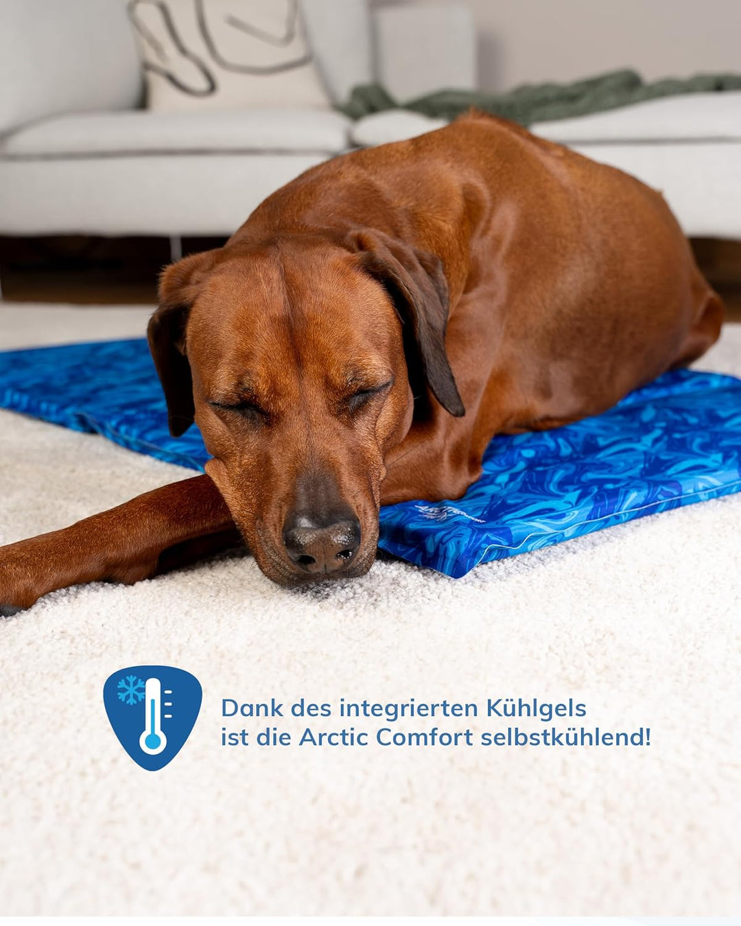 TrendPet Arctic Comfort - 20mm Premium Kühlmatte für Hunde, Hundekühlmatte, selbstkühlende Matte für
