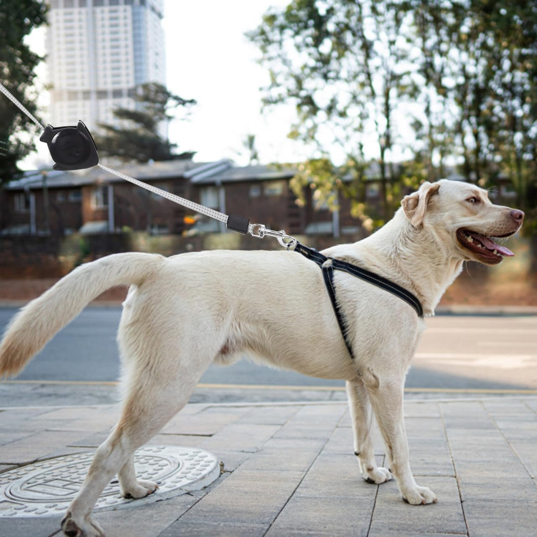 Alipis Automatische Einziehbare Hundeleine Teleskop-Zugseil Für Hunde Welpen Katzen Ergonomischer Gr