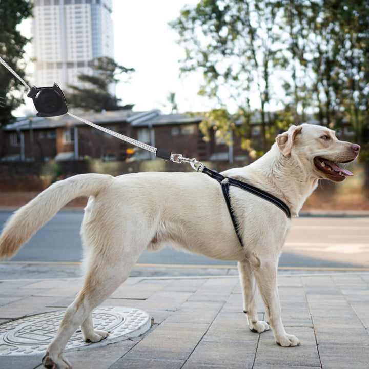 Alipis Automatische Einziehbare Hundeleine Teleskop-Zugseil Für Hunde Welpen Katzen Ergonomischer Gr