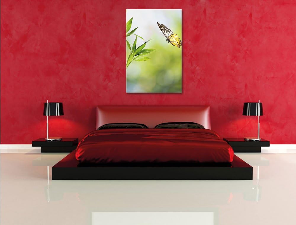 Bambus mit Schmetterling , Format: 80x120 auf hochkantiges Leinwand, XXL riesige Bilder fertig gerah