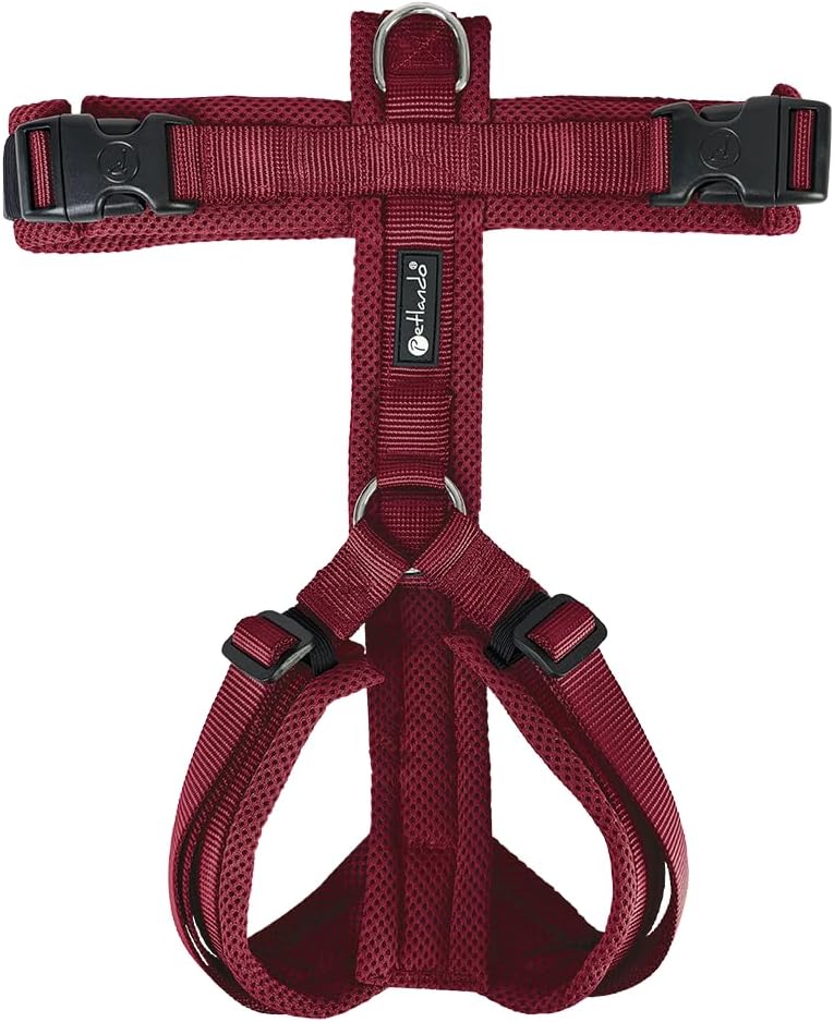 Petlando Hundegeschirr gepolstert, Mesh Y-Comfort, weich, stufenlos verstellbar, besonders leicht &amp;