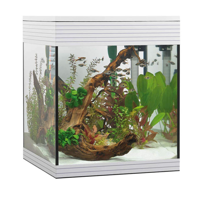 Askoll Aa350046 Aquarium Pure LED, M, Weiss Weiss 1 Unità (Confezione da 1), Weiss 1 Unità (Confezio