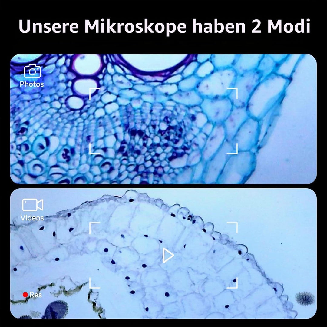 BEAVERLAB Mikroskop für Kinder, 4,3" IPS digitales Mikroskop 100X-1600X, 1080P HD Taschenmikroskop f