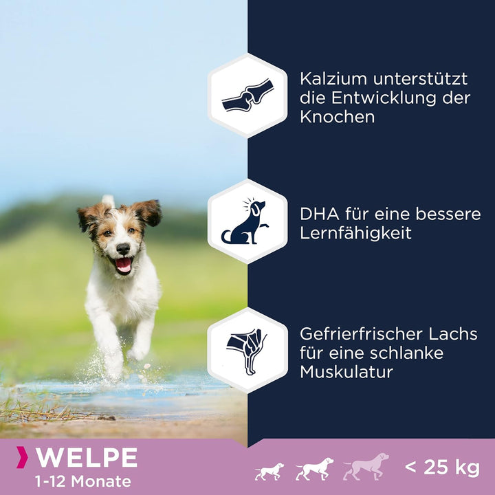 Eukanuba Welpenfutter getreidefrei mit Fisch für kleine und mittelgrosse Rassen - Trockenfutter ohne