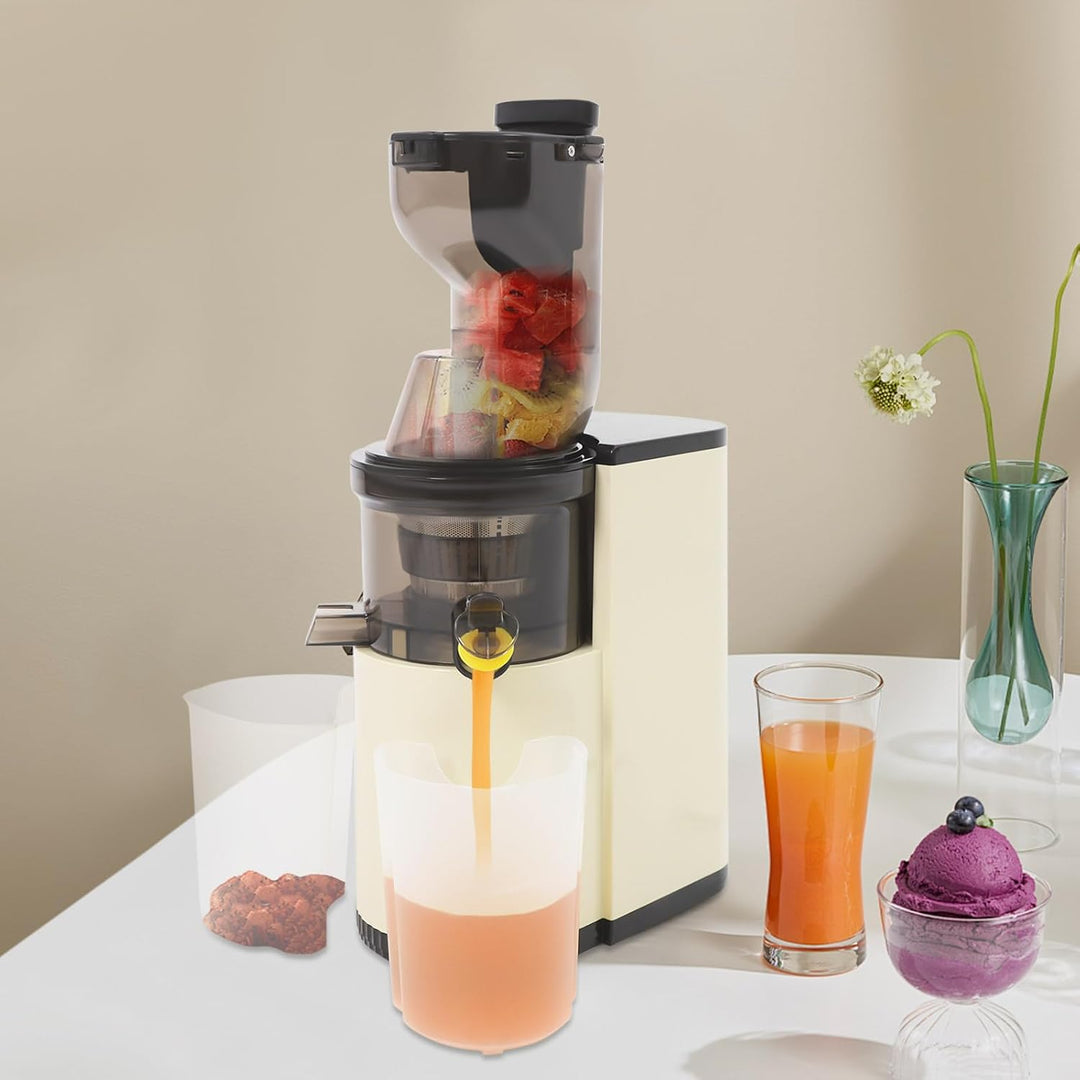 WooDerson 800W Entsafter Gemüse und Obst Spiral-Kaltentsafter, Saftpresse Elektrisch 500ml Langsamer