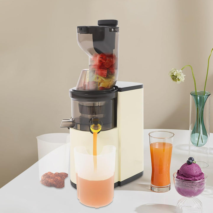 WooDerson 800W Entsafter Gemüse und Obst Spiral-Kaltentsafter, Saftpresse Elektrisch 500ml Langsamer