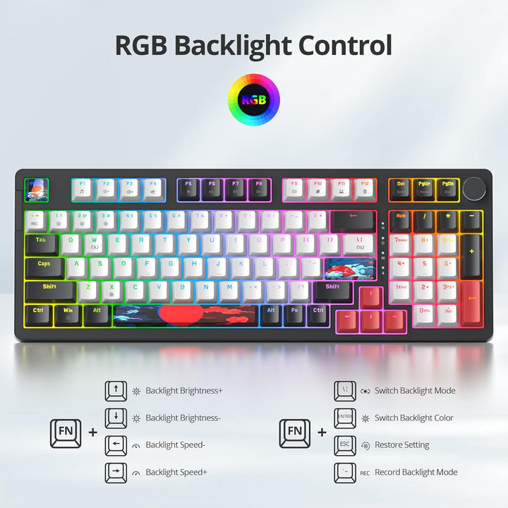 SOLIDEE Verkabelte 95% Mechanische Gaming-Tastatur,Hot-Swap-Fähige Mechanische Tastatur,Gasket Struk
