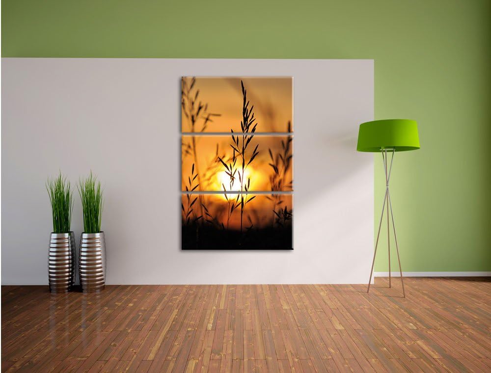 Pixxprint Gras bei Sonnenuntergang 3-Teiler Leinwandbild 120x80 Bild auf Leinwand