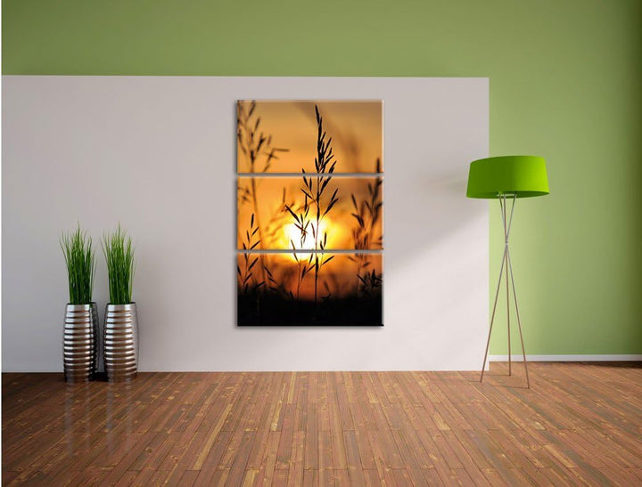 Pixxprint Gras bei Sonnenuntergang 3-Teiler Leinwandbild 120x80 Bild auf Leinwand