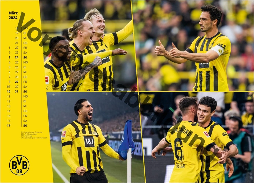 BVB Edition Kalender 2025: Grosser Wandkalender. Einzigartiger Fotokalender mit allen Stars von Boru