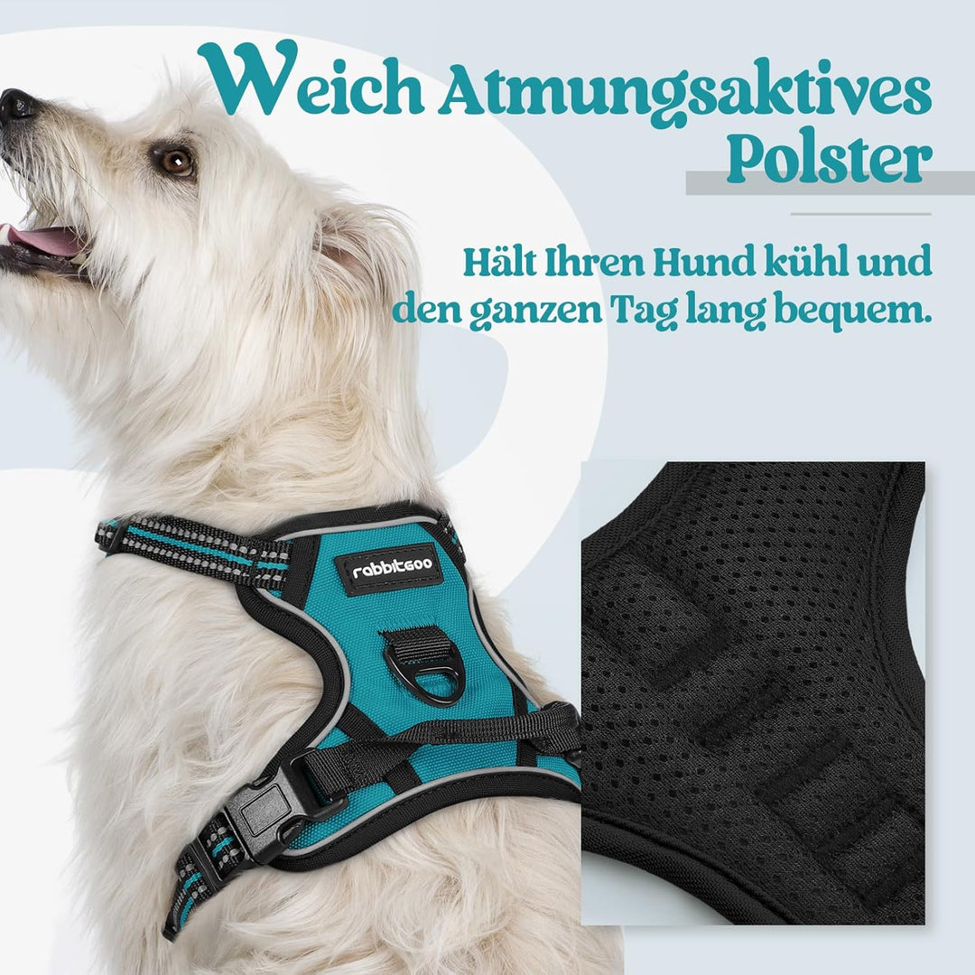 rabbitgoo Hundegeschirr Kleine Hunde, Anti Zug Geschirr mit Kontrolle, No Pull Verstellbar Hundegesc