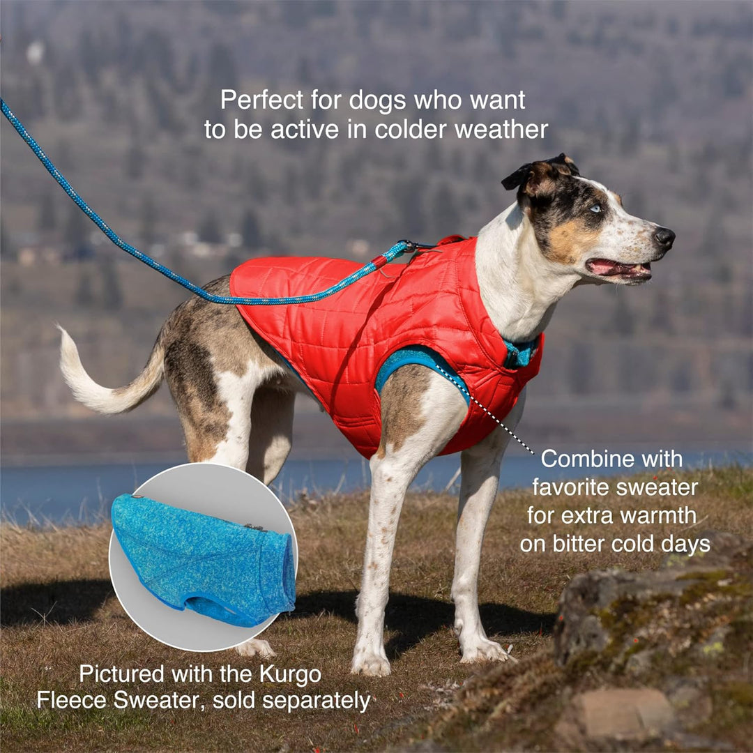 Kurgo Loft Hundejacke Wendbarer Wintermantel für Hunde reflektierend Tragen mit Geschirr wasserabwei