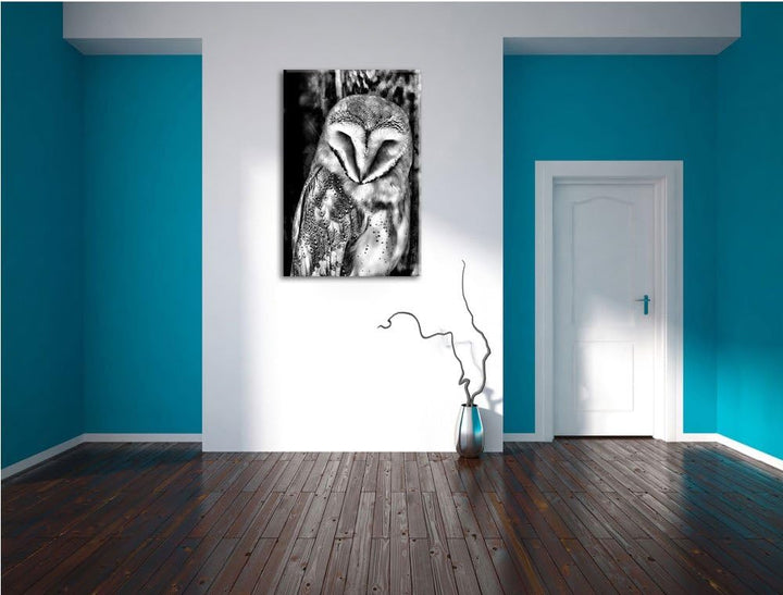 Monocrome, Schleiereule, Format: 100x70 auf Leinwand, XXL riesige Bilder fertig gerahmt mit Keilrahm