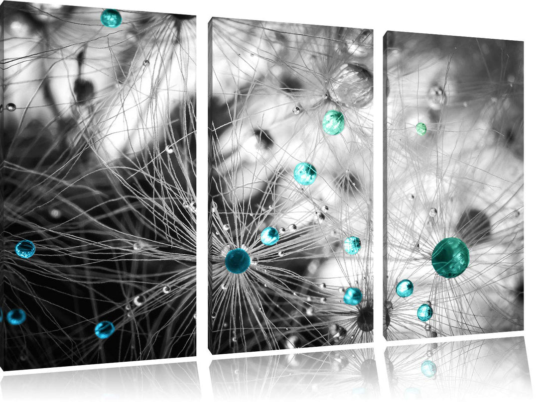 Pixxprint Wassertropfen auf Pusteblume als Leinwandbild | Grösse: 3 Teilig (120x80) | Wandbild| Kuns