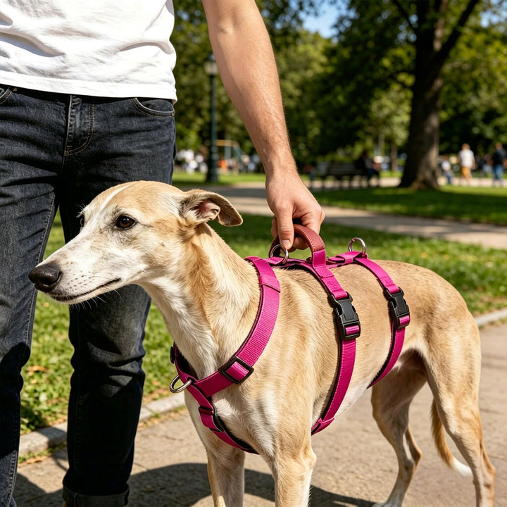 Ausbruchsicheres Hundegeschirr, Anti-Zug Verstellbares Sicherheitsgeschirr mit 3-Punkt-Design und Gr