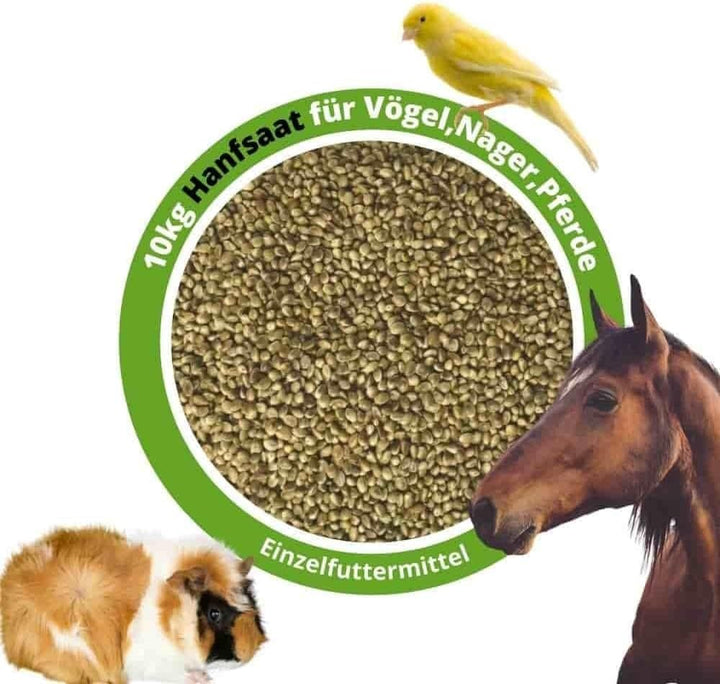 Hanfsaat Hanfsamen 10kg für Vögel, Nager und Pferde