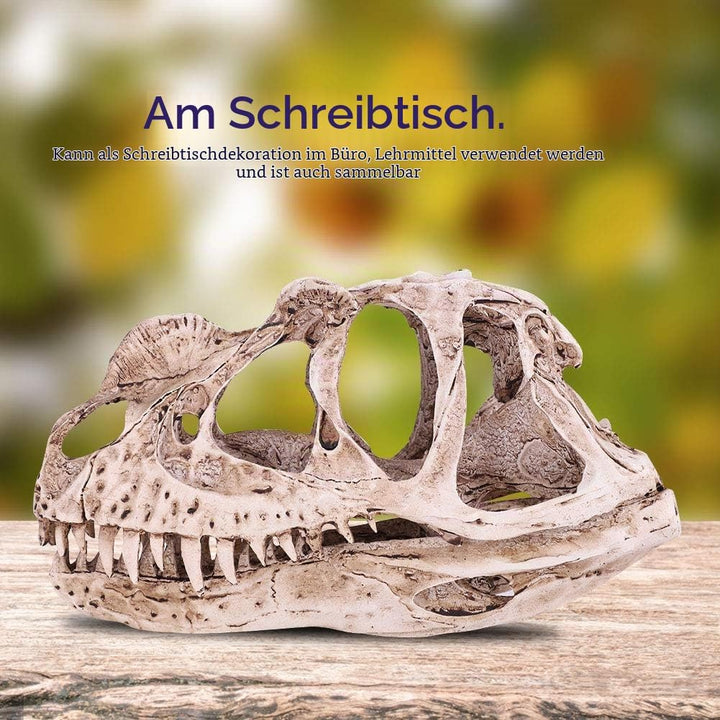VIFERR Dinosaurier-Schädel-Modell Harz simuliertes Dinosaurier-Skelett Home-Office-Dekor Handwerk Le